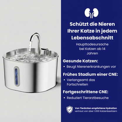 Schütze deinen Hund vor Harnwegsproblemen, Blasensteinen und Nierenerkrankungen – mit Aquatail.