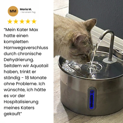 Schütze deinen Hund vor Harnwegsproblemen, Blasensteinen und Nierenerkrankungen – mit Aquatail.